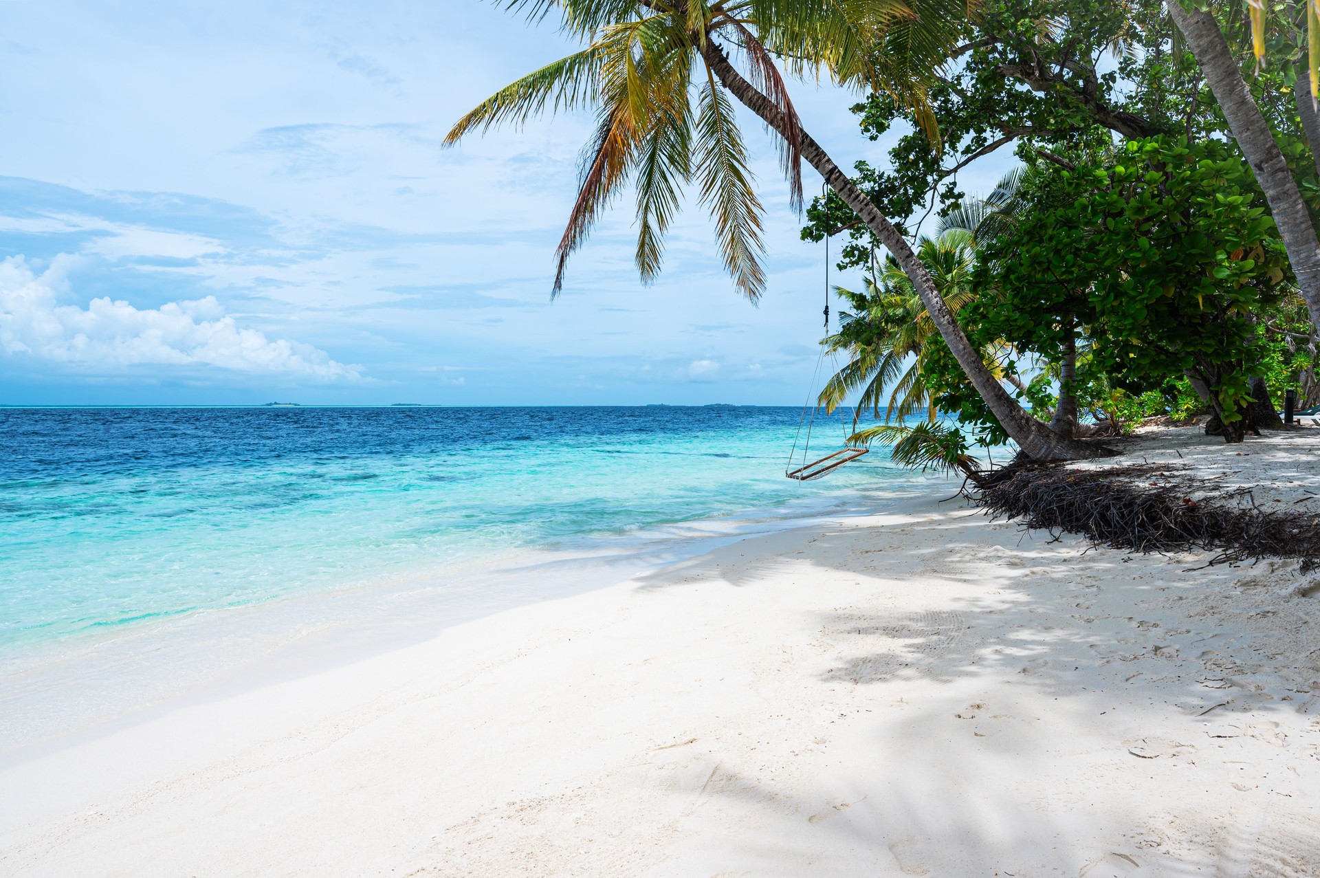 Tropical paradise beach